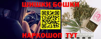 амф Можга