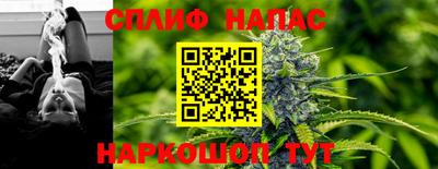 амф Можга