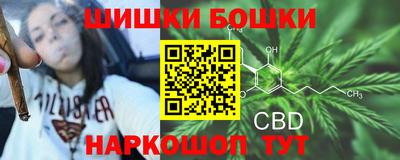 амф Можга