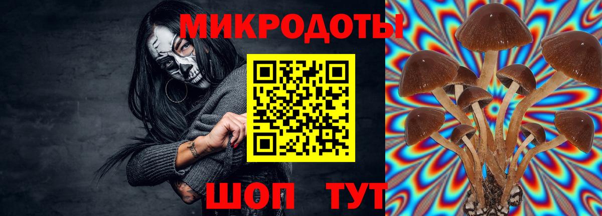 Псилоцибиновые грибы мицелий Будённовск