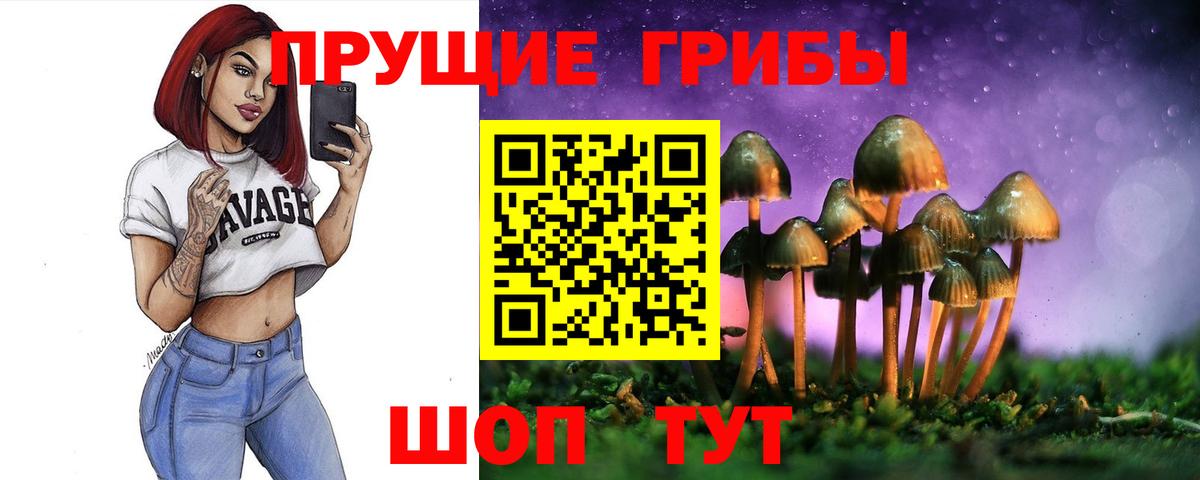 Псилоцибиновые грибы мицелий  Вход с VPN  Будённовск  Псилоцибиновые грибы Cubensis 