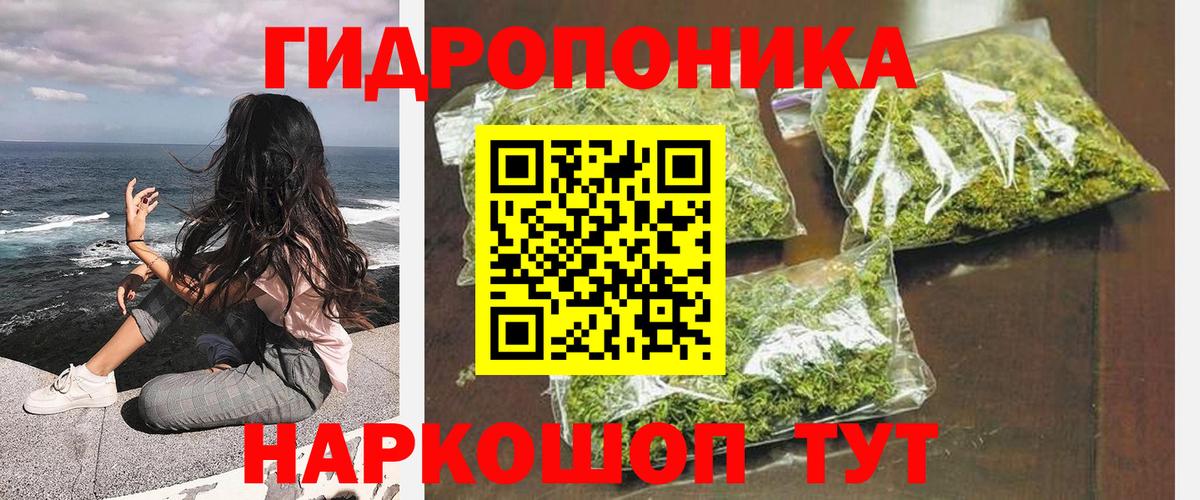 Конопля MAZAR Будённовск